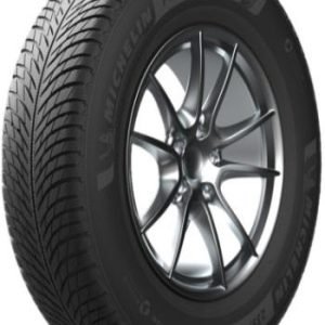 Michelin Pilot alpin 5 suv xl 295/35 R22 108W